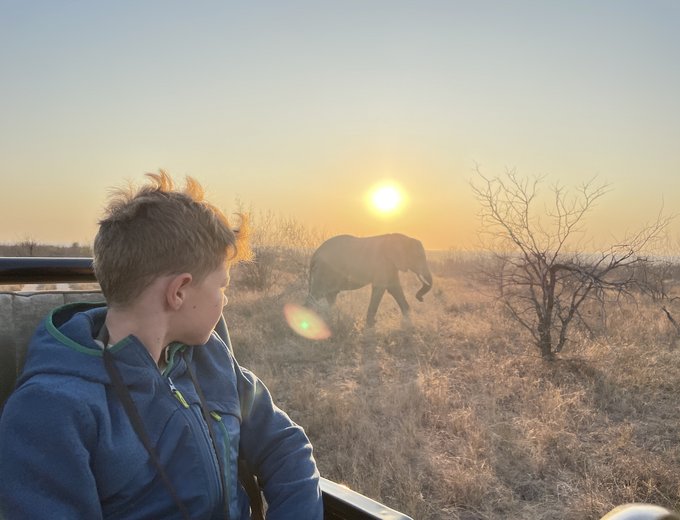 Südafrika for family - Südafrika Familienreise - Kind auf Safari im Jeep