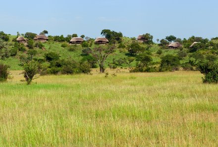 Serengeti mit Kindern individuell - Best of Familiensafari Serengeti - Grumeti Area - Grüne Landschaft - Tansania deluxe 