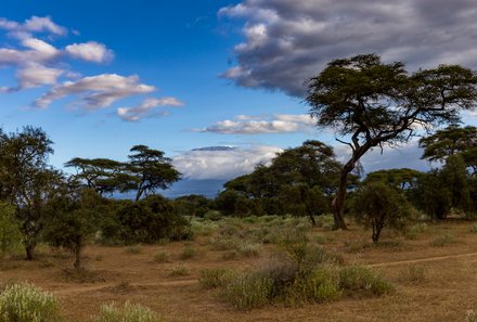 Kenia Familienreise - Kenia Family & Teens - Amboseli Nationalpark - Landschaft bei Spaziergang mit Massai