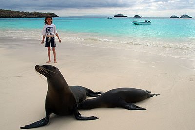 Südamerika Familienreisen - Südamerika Familienurlaub - Kind und Robben auf den Galápagos-Inseln