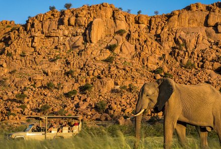 Namibia Deluxe Familienreise individuell - Camp Kipwe - Wüstenelefanten