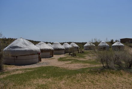 Usbekistan Familienreise - Nurata - Jurtencamp Zelte in Reihe