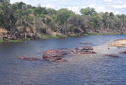 Uganda mit Kindern - Uganda Reisen mit Kindern - Kazinga-Kanal Bootssafari zu Flusspferden
