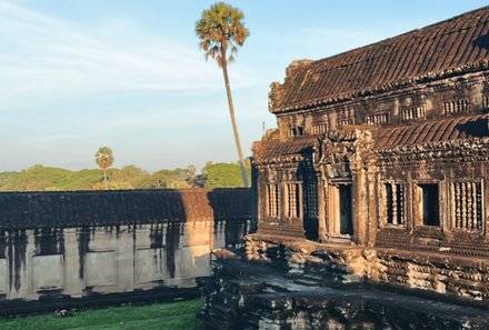 Vietnam & Kambodscha Familienreise - Vietnam-Kambodscha Family & Teens - Tempel mit Palme