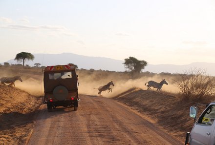 Kenia Familienreise - Kenia for family individuell - Safari