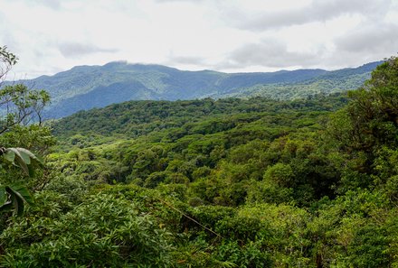 Costa Rica Familienreise - Costa Rica for family individuell - Blick über den Nebelwald Monteverde