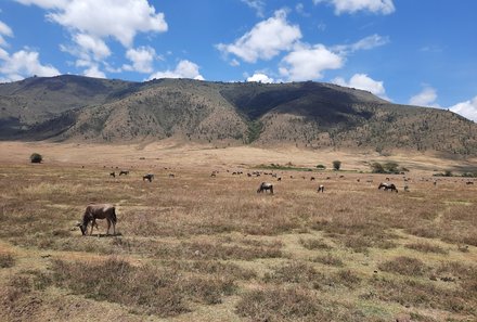 Tansania Familienreise - Tansania for family individuell - Familienabenteuer Tansania -  Kulisse Ngorongoro Krater