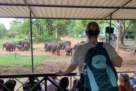 Sri Lanka for family individuell - Sri Lanka Individualreise mit Kindern - Besuch des Elephant Transit Home - Lisa Diehl