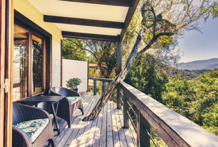 Garden Route Familienreise mit Kindern deluxe - Hog Hollow Country Lodge - Terrasse