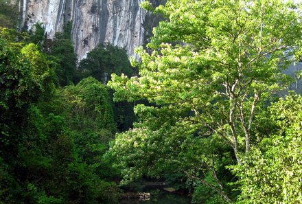 Thailand Familienreise mit Kindern - Thailand for family individuell - Khao Sok Felsen