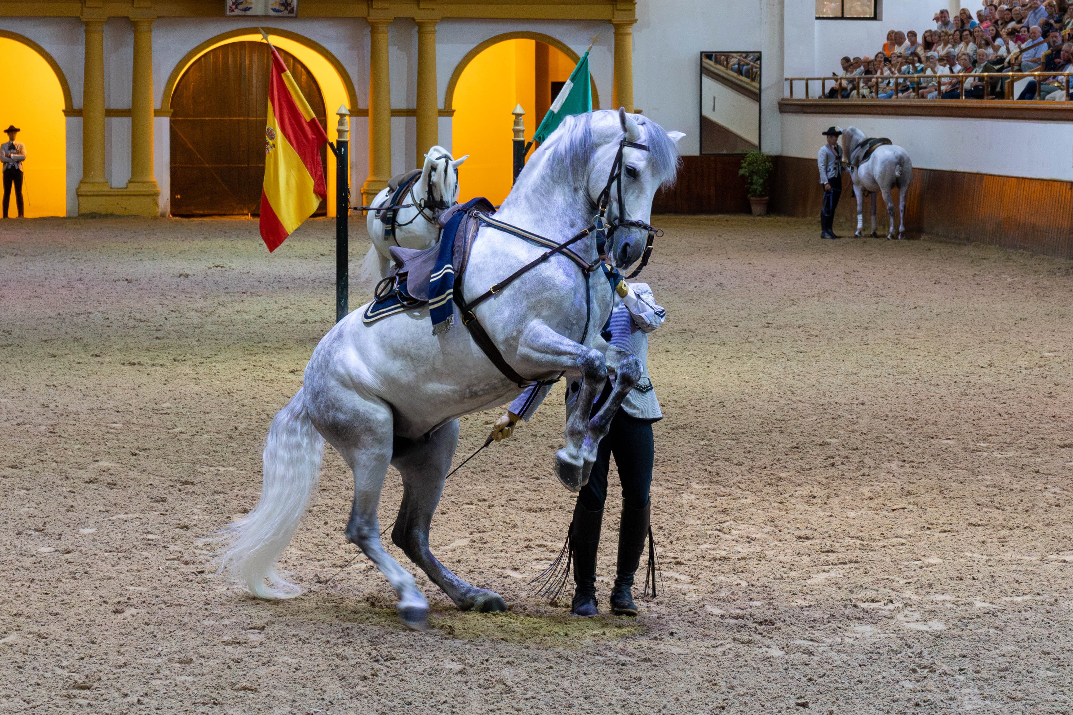 Andalusien mit Kindern - Familienurlaub Andalusien - Königliche Andalusische Reitschule