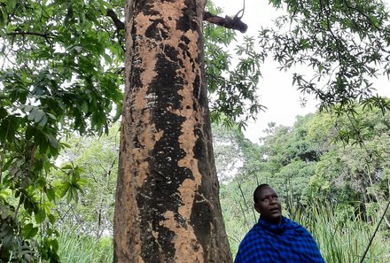 Tansania Familienreise - Tansania for family - Wanderung Regenwald Arusha