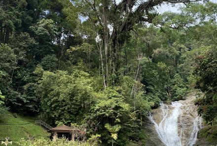 Familienurlaub Malaysia & Borneo - Malaysia & Borneo for family individuell - Cameron Highlands - Wasserfall