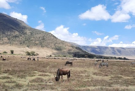 Serengeti mit Kindern individuell - Best of Familiensafari Serengeti - Ngorongoro Krater - Tierbeobachtungen am Ngorongoro Krater