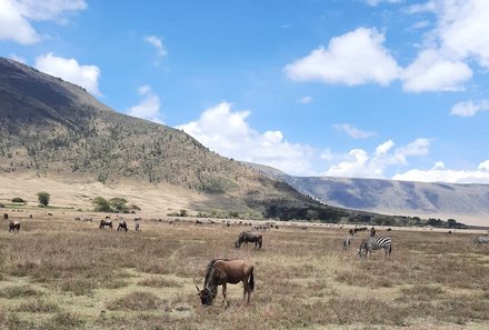 Tansania Familienreise - Tansania Family & Teens - Ngorongoro Krater - Safari 