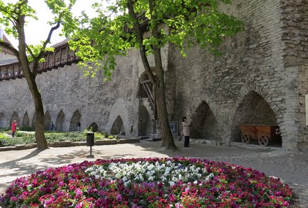 Estland Familienreise - Estland for family - Garten des dänischen Königs in Tallinn