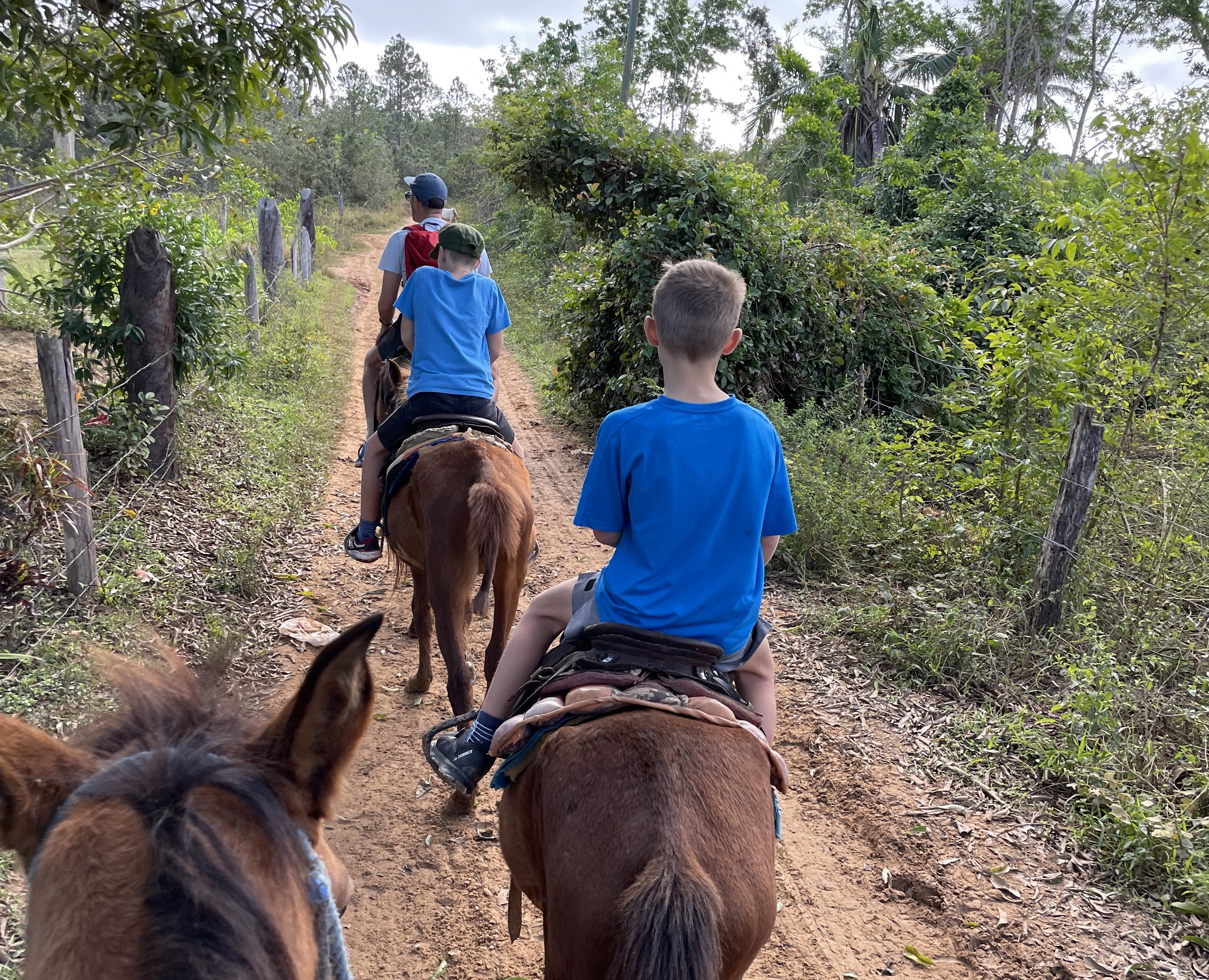 Kuba mit Kindern - 10 Gründe nach Kuba zu reisen - Reitauslug im Tabak-Tal