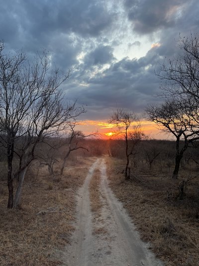 Südafrika for family - Makutsi Sonnenuntergang - Bewertung Südafrika for family - Makutsi Sonnenuntergang - Bewertung