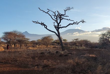 Kenia Familienreise - Kenia for family individuell - Best of Safari & Chale Island - Landschaft bei Fußpirsch mit Massai