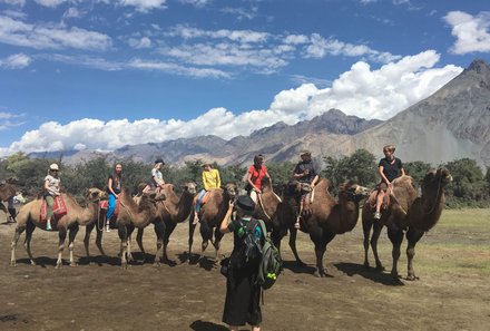 Ladakh mit Kindern - Ladakh Familienreise - Kamelreiten