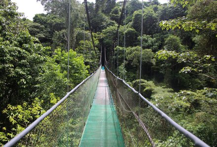 Costa Rica for family Deluxe - Familienreise in Costa Rica - Hängebrücke im costaricanischen Regenwald 