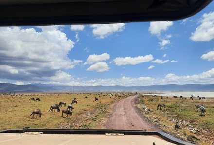 Serengeti mit Kindern individuell - Best of Familiensafari Serengeti - Ngorongoro Krater - Fahrt mit Tierbeobachtungen