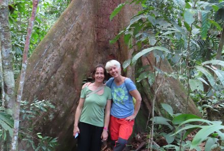 Familienurlaub Malaysia & Borneo - Malaysia & Borneo for family individuell - Rainforest Discovery Centre - Mammutbaum