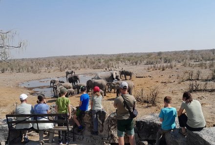 Namibia mit Kindern - Tierbeobachtungen im Etosha Nationalpark - Halali Wasserloch