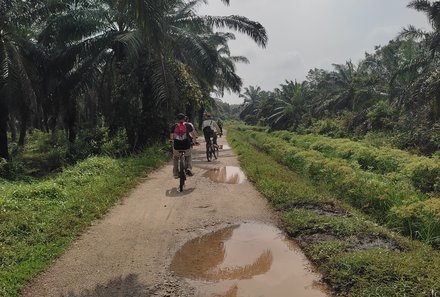 Familienurlaub Malaysia & Borneo - Malaysia & Borneo for family individuell - Fahrradtour Malakka - durch die Natur