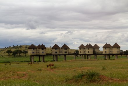 Kenia Familienreise - Kenia for family individuell - Strand & Buschabenteuer - Blick auf Salt Lick Safari Lodge