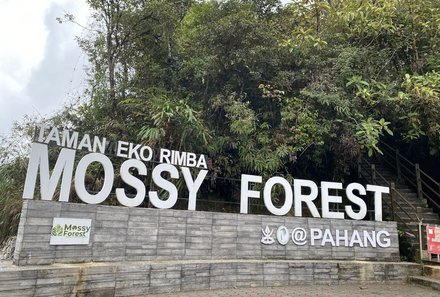 Familienreise Malaysia - Malaysia & Borneo Family & Teens - Mossy Forest - Schild