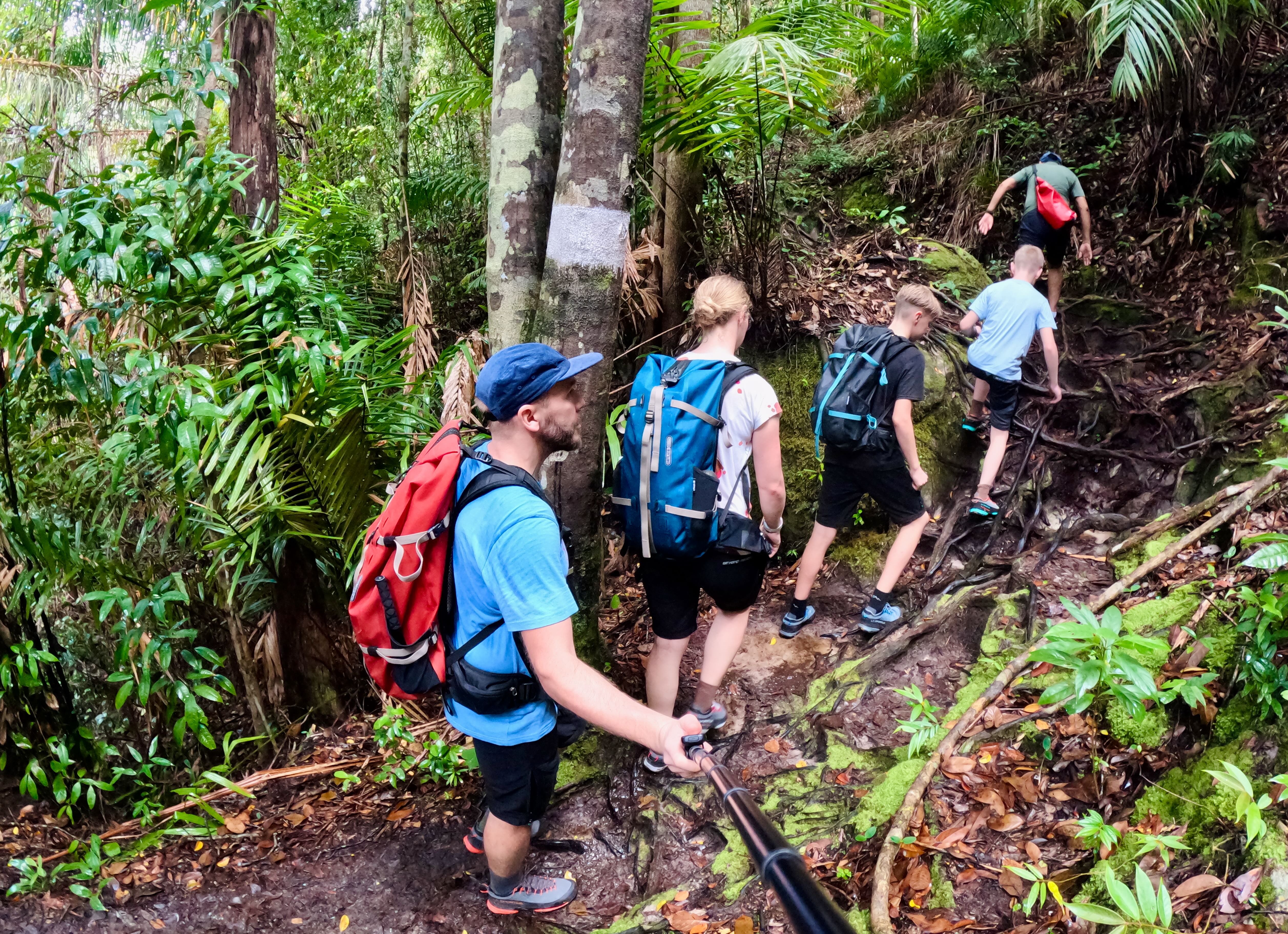 Natururlaub mit Kindern - Outdoor Reisen mit Kindern - Familienurlaub Natur - Familie wandert durch Dschungel in Borneo