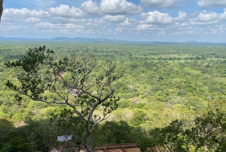 Sri Lanka mit Jugendlichen - Sri Lanka Summer Family & Teens - Sigiriya-Felsen - Ausblick