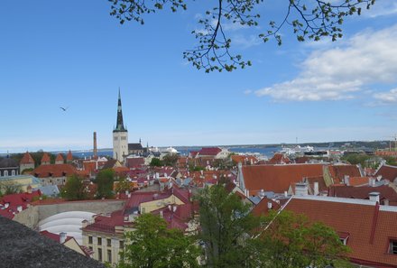 Estland Familienreise - Estland for family - Blick auf Tallinn