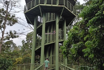Familienurlaub Malaysia & Borneo - Malaysia & Borneo for family individuell - Beobachtungsplattform im Rainforest Discovery Center