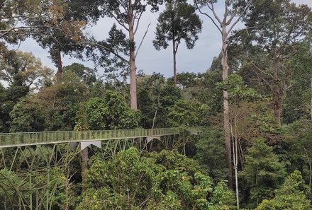 Malaysia for family individuell - Familienreise Malaysia & Borneo Rundreise - Brücke 