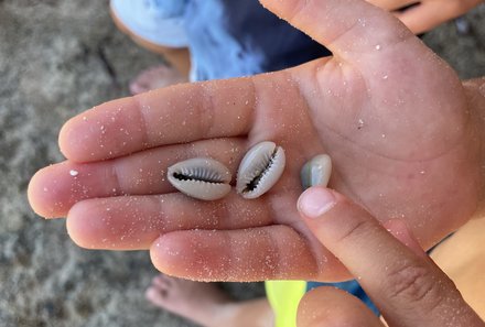 Kenia Familienreise - Kenia for family individuell - Strand & Buschabenteuer - Chale Island - Kinder mit Muscheln