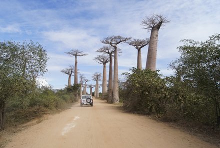 Madagaskar Familienreise - Madagaskar Family & Teens - Baobaballee