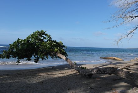 Costa Rica for family Deluxe - Familienreise in Costa Rica - Strand in Costa Rica  