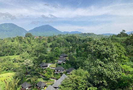 Bali for family - Bali Familienreise mit Kindern - Homm Saranam Baturiti - Hotelanlage von oben im Grünen