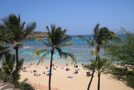 Hawaii Inselhopping for family individuell - Familienreise Hawaii mit Kindern - Strand mit Palmen auf Hawaii