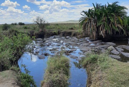 Tansania Familienreise - Tansania for family individuell - Familienabenteuer Tansania - Landschaft Serengeti