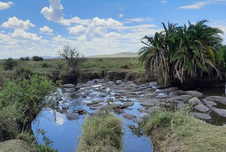 Tansania Familienreise - Tansania Family & Teens - Serengeti Nationalpark - Landschaftsaufnahme