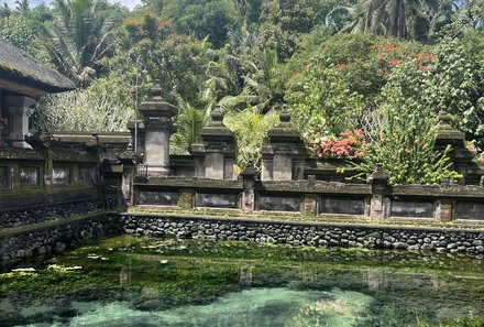 Bali mit Jugendlichen - Java & Bali Family & Teens - Wasser Tirta Empul