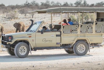 Namibia Deluxe Familienreise - Onguma Bush Camp - Jeeptour