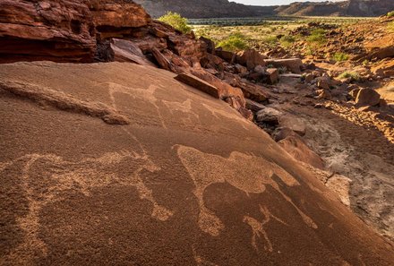 Namibia Deluxe Familienreise individuell - Twyfelfontein - Felsen mit Malerein