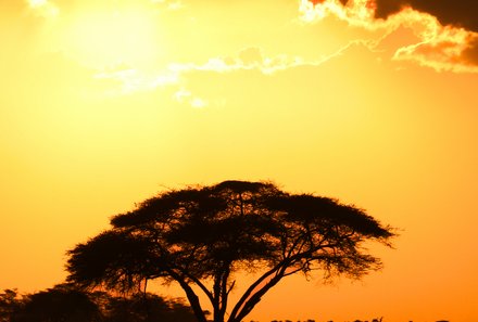 Kenia Familienreise - Kenia Family & Teens - Sonnenuntergang im Amboseli Nationalpark