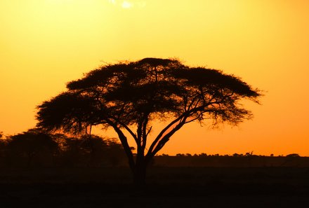 Kenia Familienreise - Kenia for family individuell - Sonnenuntergang in Kenia