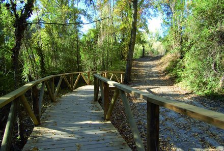 Andalusien for family - Familienreise Andalusien - Brücke bei Wanderung