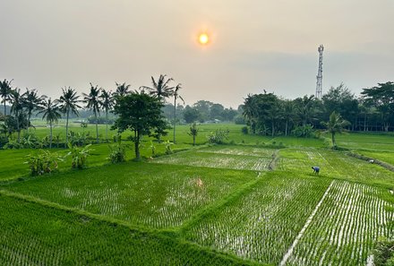 Bali mit Jugendlichen - Java & Bali Family & Teens - Ubud Reisfelder bei Sonnenaufgang